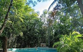 Maya Balam Tulum